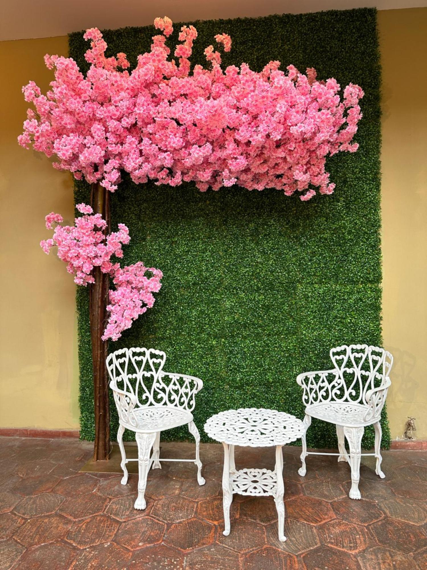 Nass Central Garden Cuenca Dış mekan fotoğraf